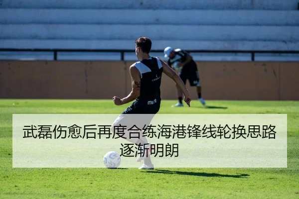 武磊伤愈后再度合练海港锋线轮换思路逐渐明朗